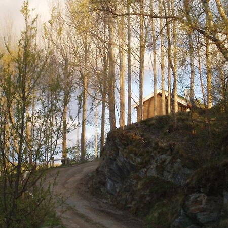 Ivaregga Vinterstua Tolga Exteriör bild