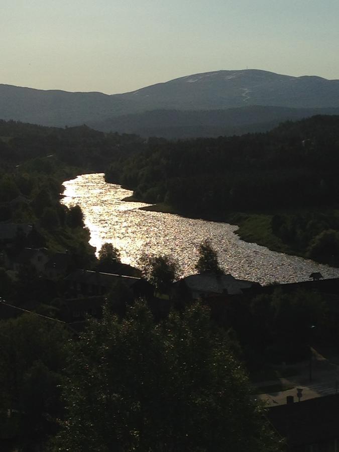 Ivaregga Vinterstua Tolga Exteriör bild