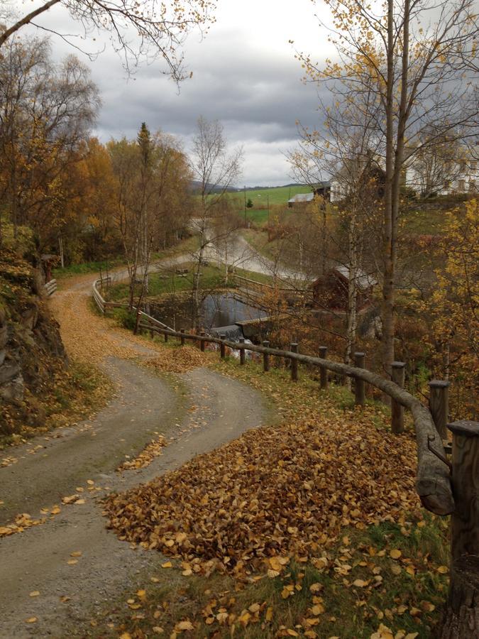 Ivaregga Vinterstua Tolga Exteriör bild