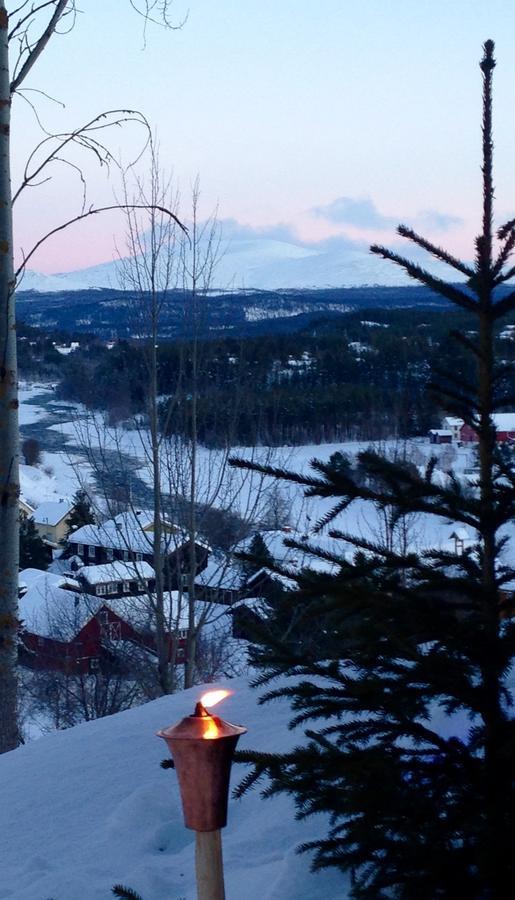 Ivaregga Vinterstua Tolga Exteriör bild