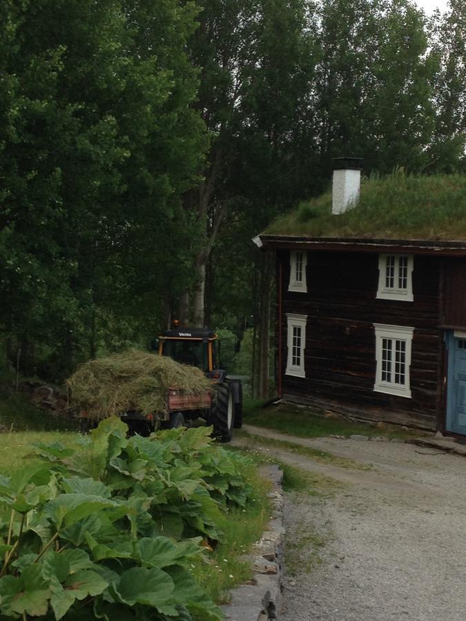 Ivaregga Vinterstua Tolga Exteriör bild