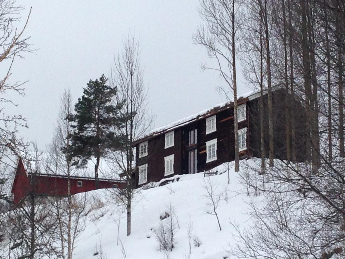 Ivaregga Vinterstua Tolga Exteriör bild