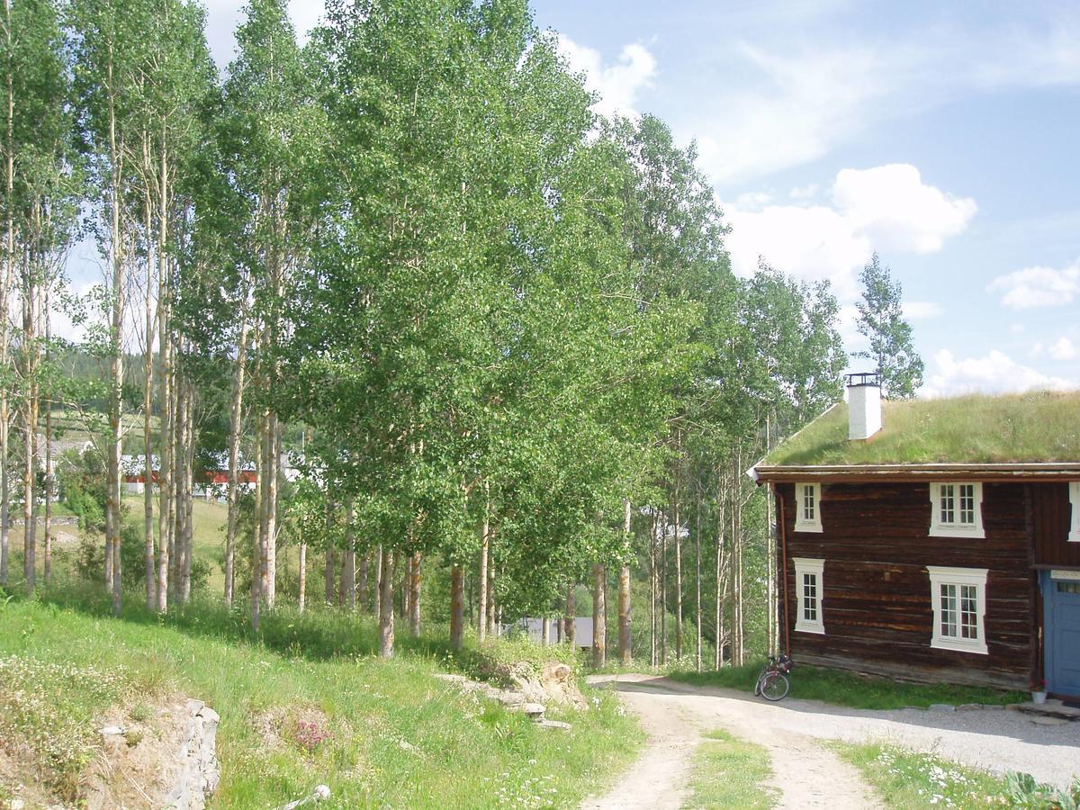 Ivaregga Vinterstua Tolga Exteriör bild